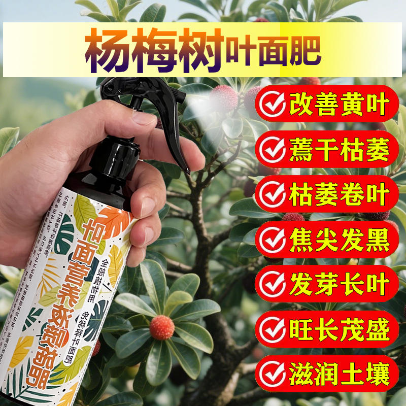 杨梅专用肥料种植杨梅树营养液开花保花保果结果挫果增产增收肥料