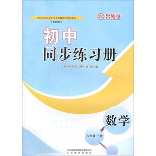 数学 教材 六年级下册 鲁教版 五四制 初中同步练习册