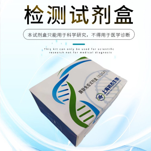 细胞间粘附分子1（ICAM-1；CD54）酶联免疫吸附测定试剂盒现货