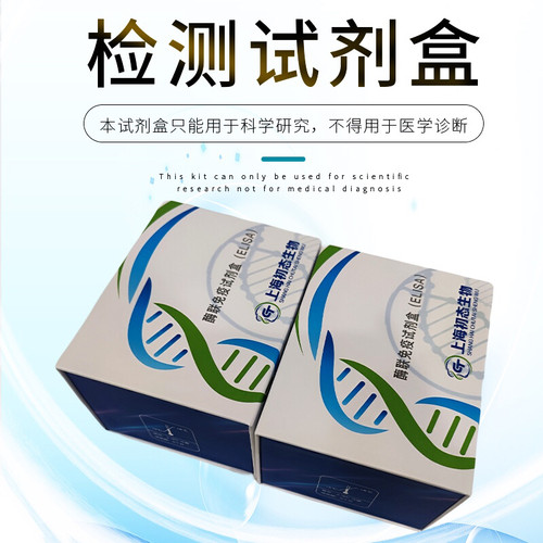 白细胞介素19（IL-19）elisa试剂盒