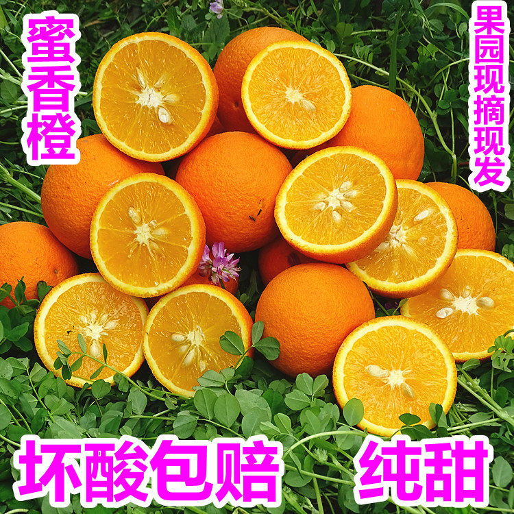 广西桂林蜜香橙纯甜橙子蜂蜜橙当季现摘新鲜水果应季埃及橙5斤9斤,水产肉类/新鲜蔬果/熟食,橙,淘宝优惠券,粉丝福利购,淘宝优惠卷