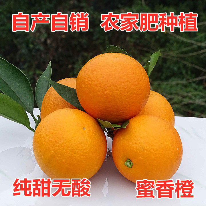 广西桂林蜜香橙纯甜橙子蜂蜜橙当季现摘新鲜水果应季埃及橙甜橙,水产肉类/新鲜蔬果/熟食,橙,淘宝优惠券,粉丝福利购,淘宝优惠卷