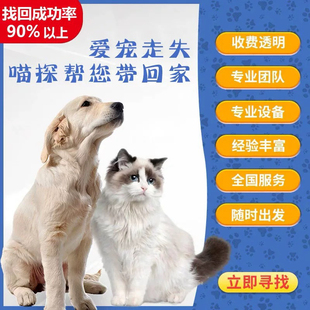 辽宁省专业找猫团队，大连市，抚顺，辽阳，本溪 鞍山，朝阳找猫