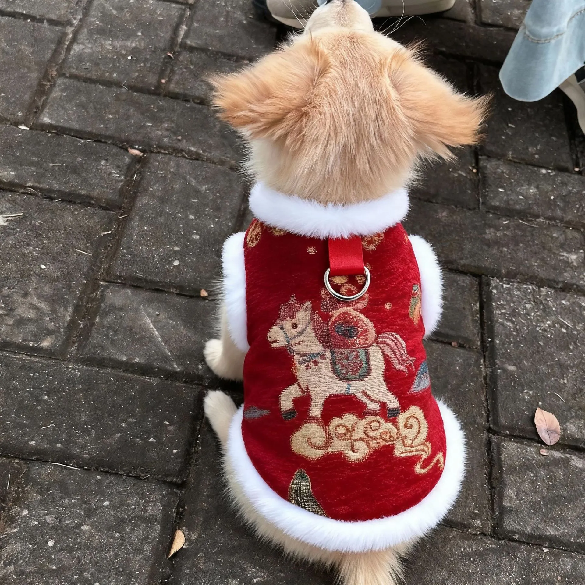 宠物狗狗衣服冬季加厚保暖背心马尔济斯比熊小型犬新年喜庆拜年服,宠物/宠物食品及用品,狗宠物服装/雨衣,淘宝优惠券,粉丝福利购,淘宝优惠卷