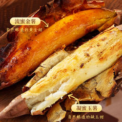 东北产区黑山蜜薯精品果哈蜜烟薯当季现挖地瓜芋头冰糖薯红薯