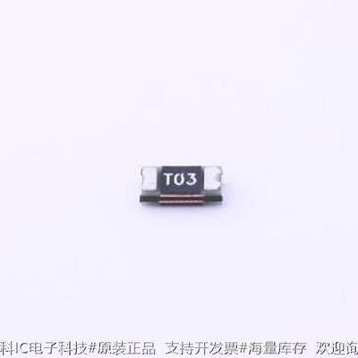 TLC-NSMD025 自恢复保险丝 16V 250mA 1206自恢复 1206原装现货