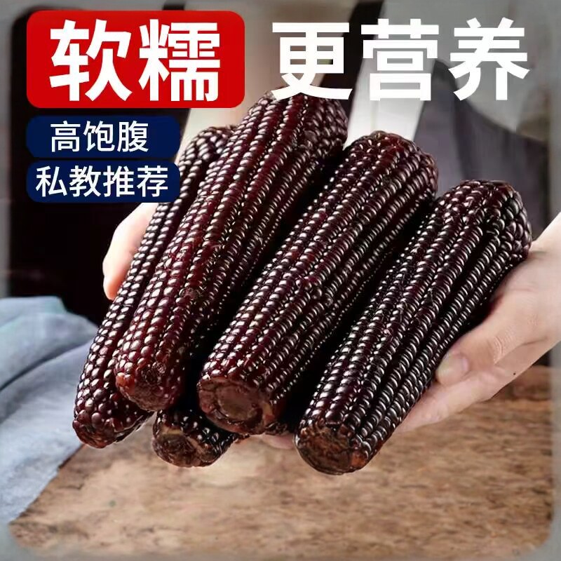 10根东北黑糯玉米粘糯新玉米黄糯玉米真空包装吉林玉米杂粮代餐