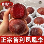 酸甜凤凰李红心李血丝三华李恐龙蛋大李子新鲜孕妇水果当季 胭脂李