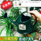 爱丽思蓬壶洒水壶家用浇花壶浇水壶大淋花喷壶长嘴喷水壶浇花神器