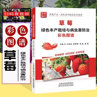 视频 扫码 草莓绿色丰产栽培与病虫害防治彩色图谱家庭农场实用茄子高效栽培种植管理农业科技栽蔬菜种植技术云仓JS 全彩铜版 任选