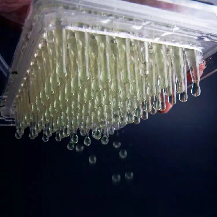 分子美食鱼籽酱西餐鱼子生成器海藻胶钙粉鱼籽制作盒球化分子料理