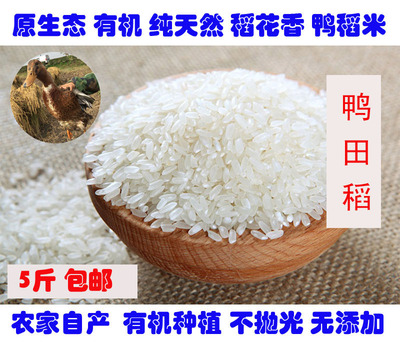 稻花香原生态东北黑龙江鸭稻米