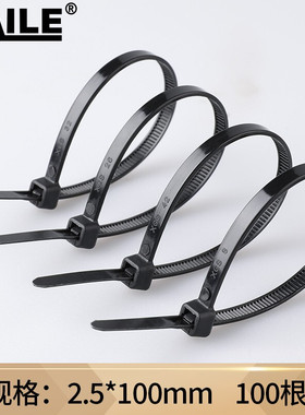 HAILE尼龙扎带ZD-10H-100扎线带束线带2.5*100mm黑色100根扎带