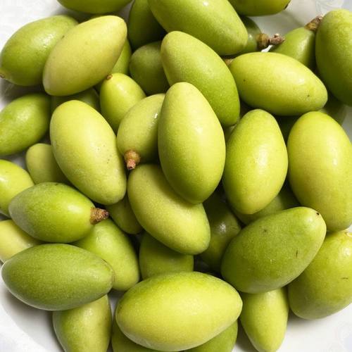 新鲜现摘橄榄广东潮汕特产青橄榄