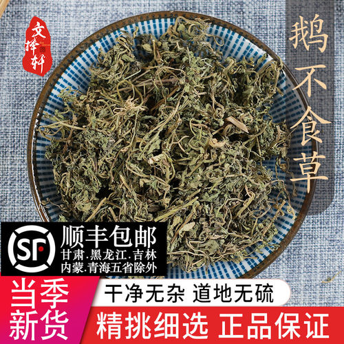中药材精选新货正品鹅不食草50克