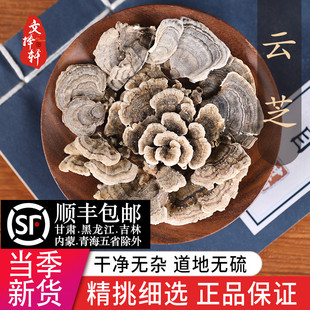 中药材云芝 云芝蘑 云芝菌 正品新货 蝴蝶菌 50克