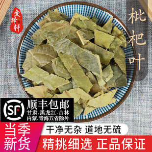 正品精选新货枇杷叶50g枇杷叶茶新货生枇杷叶干货可炙枇杷叶
