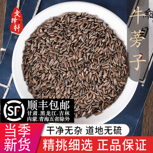 中药材特级野生牛旁子正品 牛蒡子50g牛蒡子茶可磨牛蒡子粉大力籽