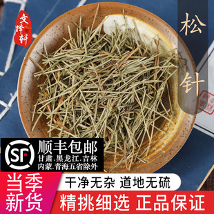中药材精选松针 马叶松针 松叶 松毛 正品新货50克