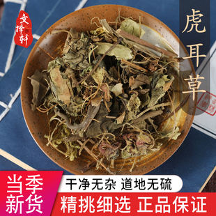 新货干货高山虎儿草姬药用新鲜 中药材特级野生虎耳草50克正品