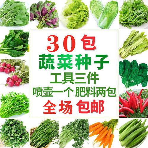 蔬菜种孑农家辣椒番茄黄瓜盆栽西红柿韭菜香菜四季菜种籽大全种子 - 封面