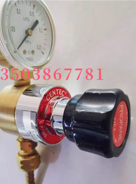 捷锐高纯气体不锈钢减压器 R22SLAK-FHW-04-04-F 议价