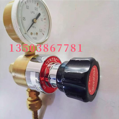 捷锐高纯气体不锈钢减压器 R22SLAK-FHW-04-04-F 议价