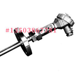 德斯蒙德 WRH2F-430G/WRRF-430G/WRR2F-430G高温防腐热电偶