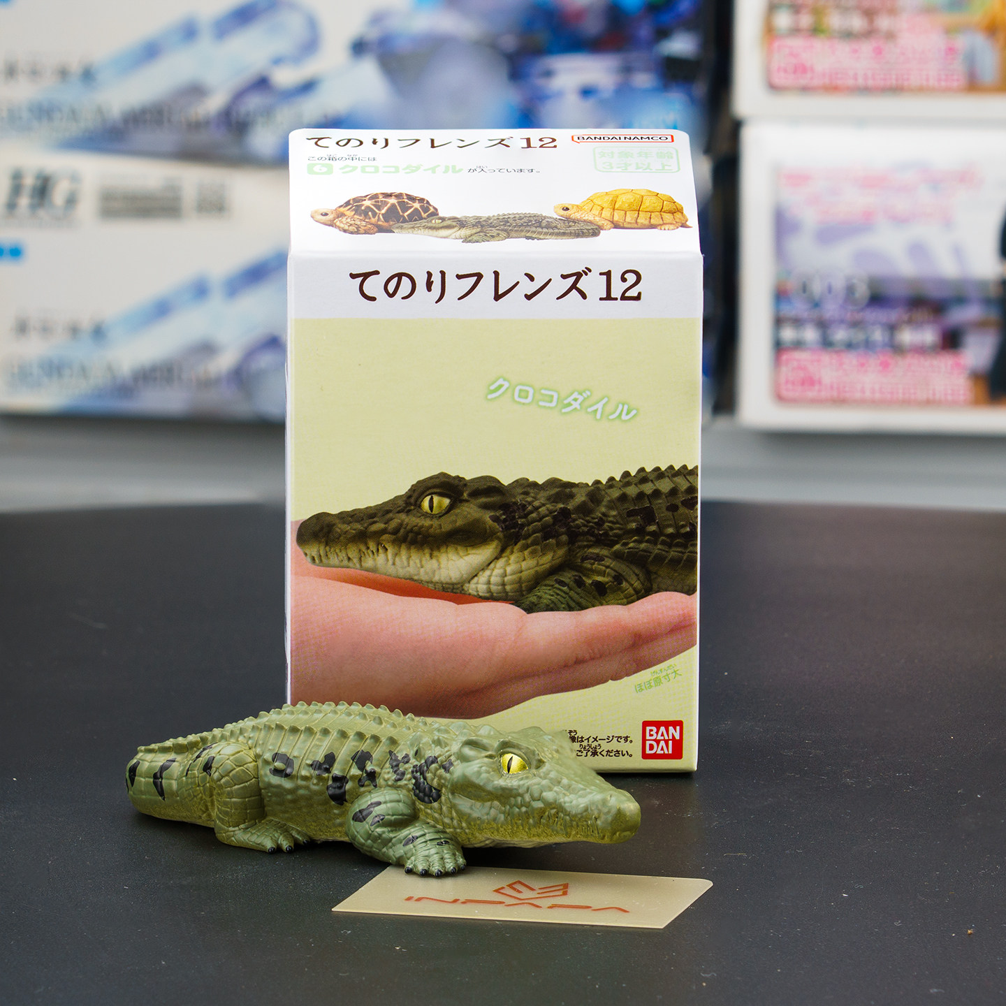 日本万代 手乘朋友们 掌上小萌宠 龟 守宫 蛙 大鲵 鳄鱼摆件 现货