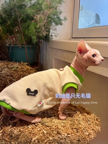 奶油是只无毛猫 Канадский сфинкс Devin Pet Cat Spring и летняя одежда. Новая бесплатная доставка