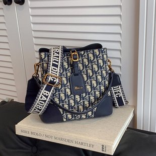 感轻刺绣奢小众老花2025高级包百搭单肩斜挎包包包潮女式 水桶 新款