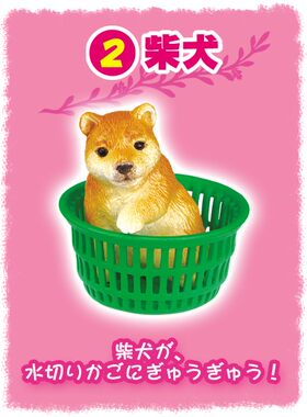 re-ment可爱宠物 2号 犬  狗