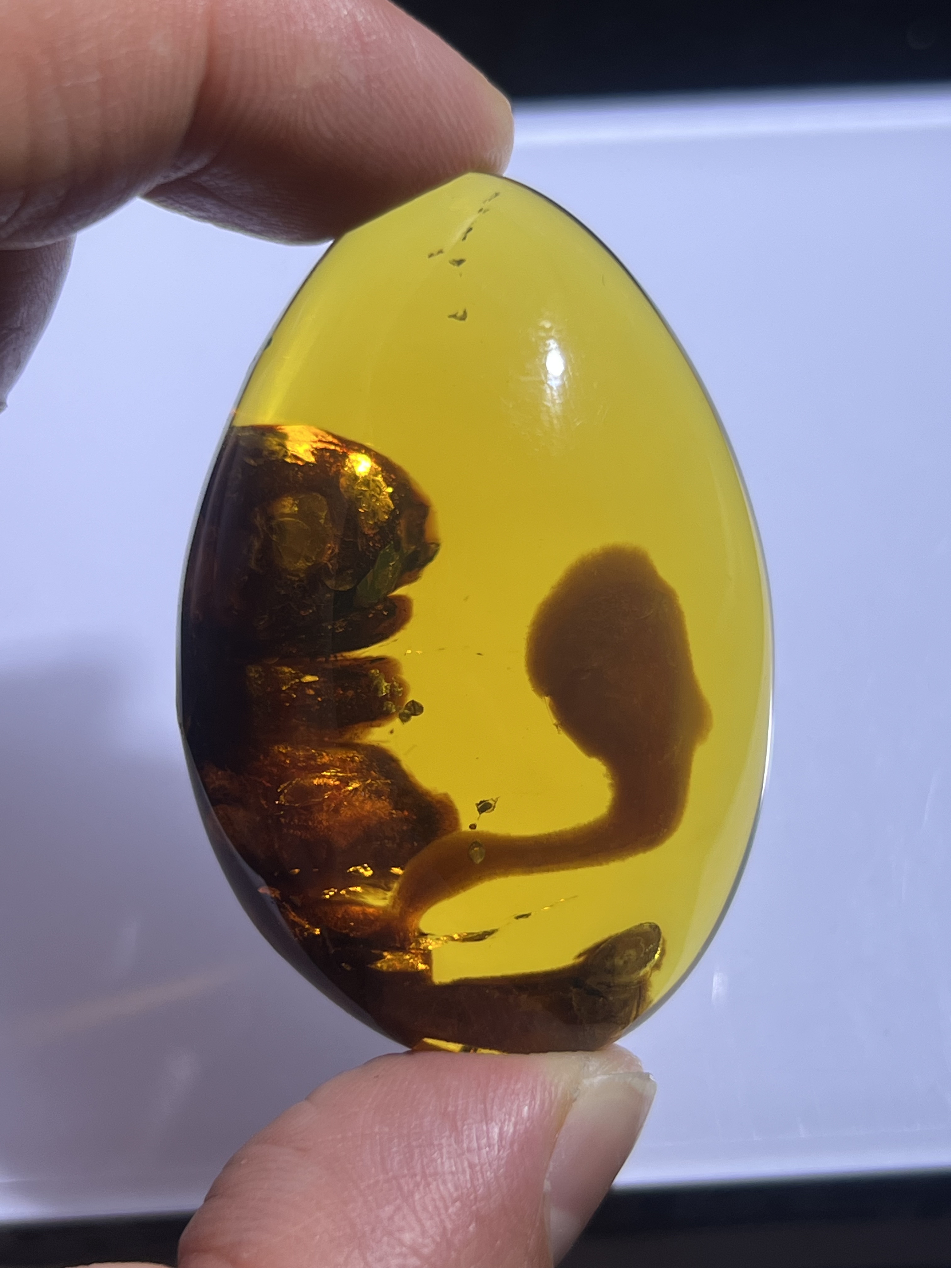 天然缅甸琥珀特色溶蜜意境珀吊坠天然保真支持鉴定复检