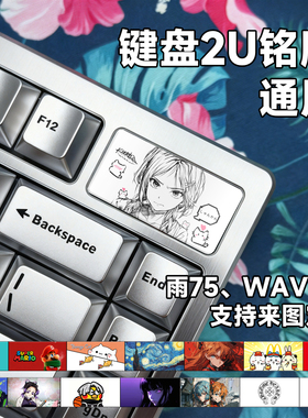 键盘2U铭牌通用 机械客制化定制DIY替换雨75 WAVE75磁轴个性卡通