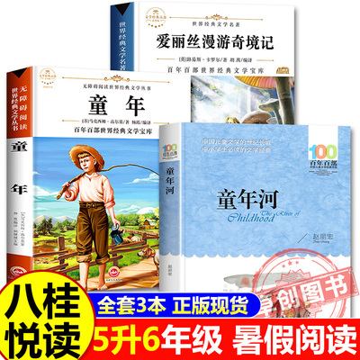 八桂悦读 2025暑假五升六阅读全套4本 童年 高尔基著 爱丽丝漫游奇境 刘易斯卡罗尔著  童年河 儿童文学必读书 书香鲁韵万物复书
