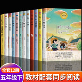 课外书推荐 全套 小学语文同步阅读书籍呼兰河传萧红著正版 五年级下册必读 可爱 中国方志敏跳水书月是故乡明梅花魂军神丰碑5老师