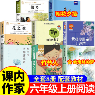 课内作家六年级上册必读课外书花之歌纪伯伦草原北京的春节朝花夕拾故乡鲁迅紫藤萝瀑布丁香结竹节人会走路的梦细雨下点碎落花声6