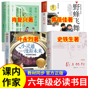 六年级下册必读课外书课内作家作品全套4册正版 野蜂飞舞黄蓓佳 我与地坛史铁生 小灵通漫游未来重读那片绿绿的爬山虎肖复兴著书目