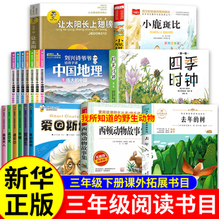 三年级下册必读课外书老师推荐 影响孩子一生的世界大科学家系列丛书全套刘兴诗爷爷讲给孩子的中国地理去年的树四季时钟小鹿斑比