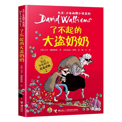 了不起的大盗奶奶接力出版社