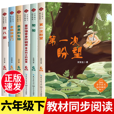 六年级下册同步阅读书籍