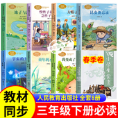 人教版 昆虫备忘录池子与河流童年 水墨画宇宙 三年级下册必读课外书全套8册老师推荐 另一边我变成了一棵小学生食育春季 卷3阅读