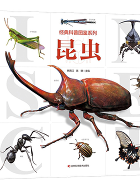 经典科普图鉴系列昆虫