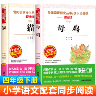 猫母鸡 老舍经典作品全集 4四年级下册必读的课外书 小学语文同步阅读书系课文作家儿童文学作品选小学生课外阅读书籍推荐书目读物