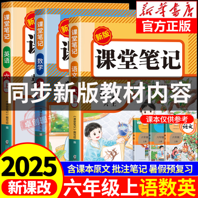 六年级上册课堂笔记人教版
