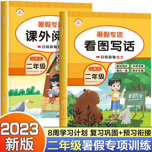 每日一练老师推荐 二升三暑假阅读理解看图写话二年级下册小学三年级语文课外阅读强化专项训练书人教版 说话暑假作业衔接2升3好阅读