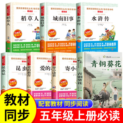 五年级上册必读的课外书课外拓展阅读书目城南旧事水浒传青少年版青铜葵花曹文轩昆虫记爱的教育寄小读者稻草人小学生课外阅读书籍