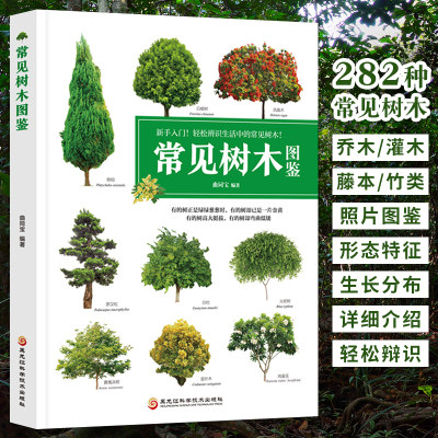 常见树木图鉴园林绿化书籍正版园林花草大全树苗木庭院植物学成人版 新手入门轻松辨识 大自然乔木灌木盆栽盆景鉴赏识别百科普全书