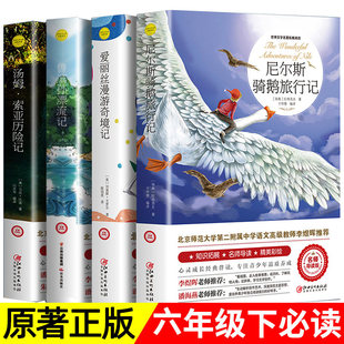 六年级下册必读课外书快乐读书吧全套老师推荐 尼尔斯骑鹅旅行记原著正版爱丽丝漫游奇境鲁滨逊漂流记完整版汤姆索亚历险记鲁宾孙6