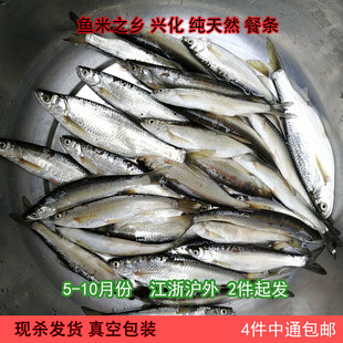 天然河鱼新鲜 小鱼 活体现杀 淡水小白条蓝刀刁子餐条鱼杂鱼